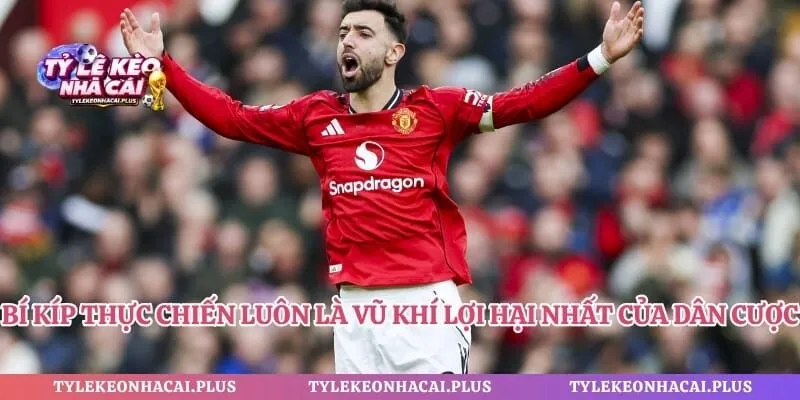 Bí kíp thực chiến luôn là vũ khí lợi hại nhất của dân cược