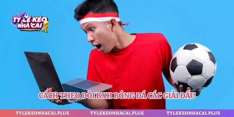 Cách theo dõi BXH bóng đá các giải đấu