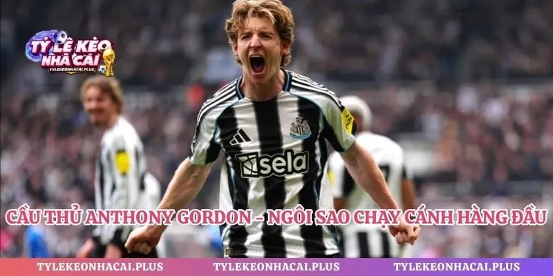 Cầu Thủ Anthony Gordon - Ngôi Sao Chạy Cánh Hàng Đầu