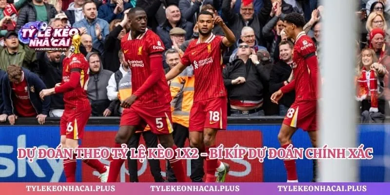 Dự Đoán Theo Tỷ Lệ Kèo 1x2 - Bí Kíp Dự Đoán Chính Xác