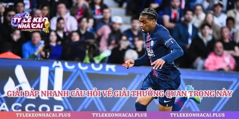Giải đáp nhanh câu hỏi về giải thưởng quan trọng này