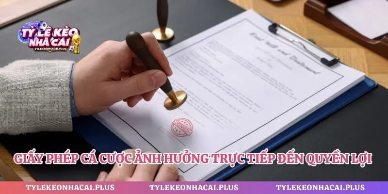 Giấy phép cá cược ảnh hưởng trực tiếp đến quyền lợi người chơi