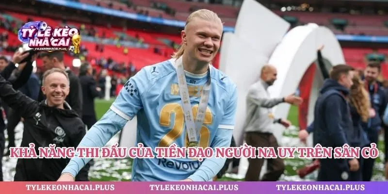 Khả năng thi đấu của tiền đạo người Na Uy trên sân cỏ