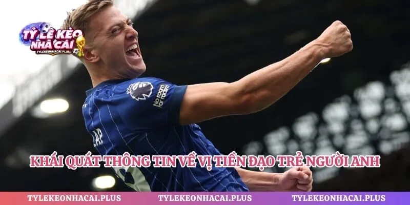 Khái quát thông tin về vị tiền đạo trẻ người Anh