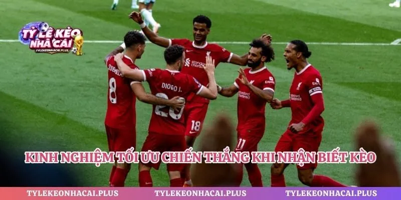 Kinh nghiệm tối ưu chiến thắng khi nhận biết kèo