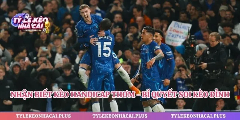 Nhận Biết Kèo Handicap Thơm - Bí Quyết Soi Kèo Đỉnh