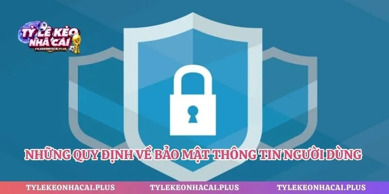 Những quy định về bảo mật thông tin người dùng