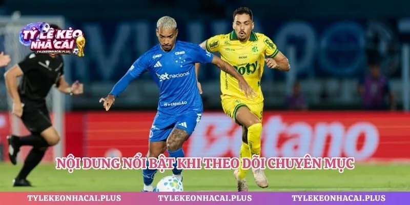 Nội dung nổi bật khi theo dõi chuyên mục