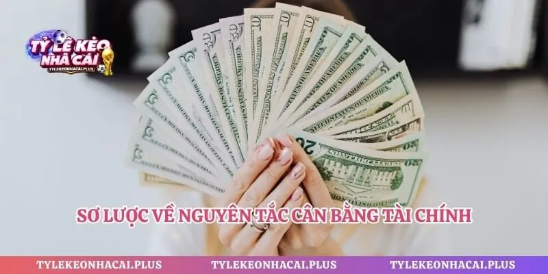 Sơ lược về nguyên tắc cân bằng tài chính