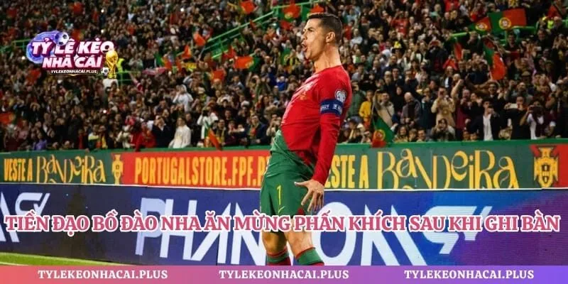 Tiền đạo Bồ Đào Nha ăn mừng phấn khích sau khi ghi bàn thắng