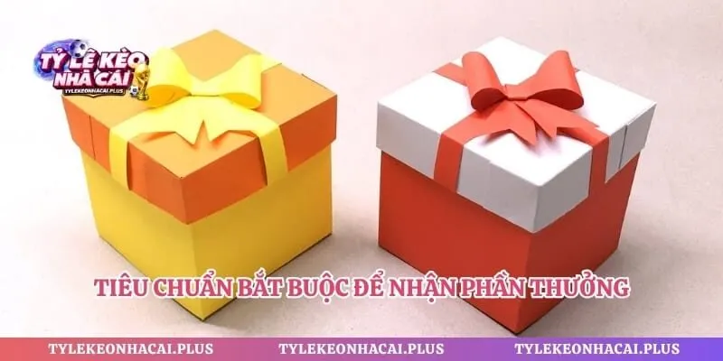 Tiêu chuẩn bắt buộc để nhận phần thưởng