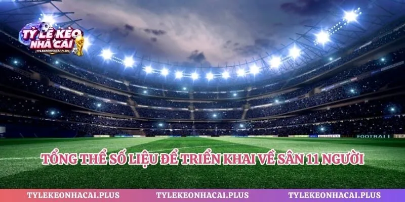 Tổng thể số liệu để triển khai về sân 11 người