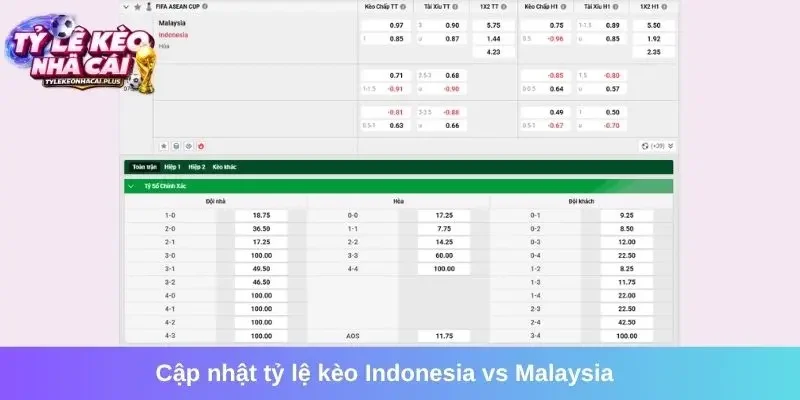 Cập nhật tỷ lệ kèo mới nhất của trận Indonesia vs Malaysia